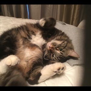 Meet your Posher, Shelly